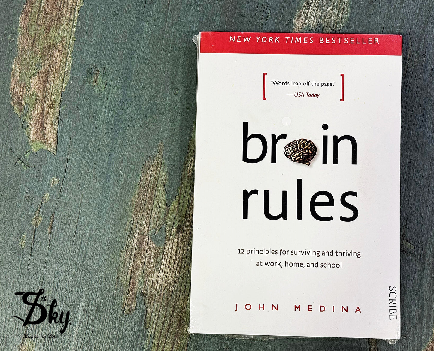 Brain Rules: 12 Principles for Surviving and Thriving at Work, Home, and School