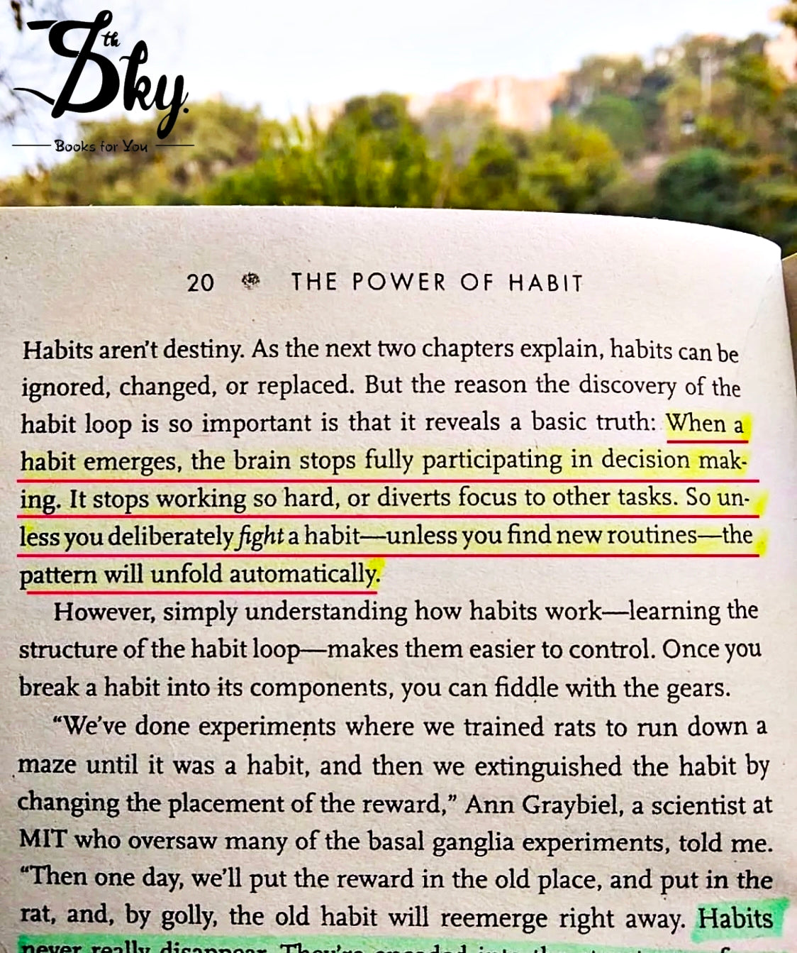 The Power Of Habit