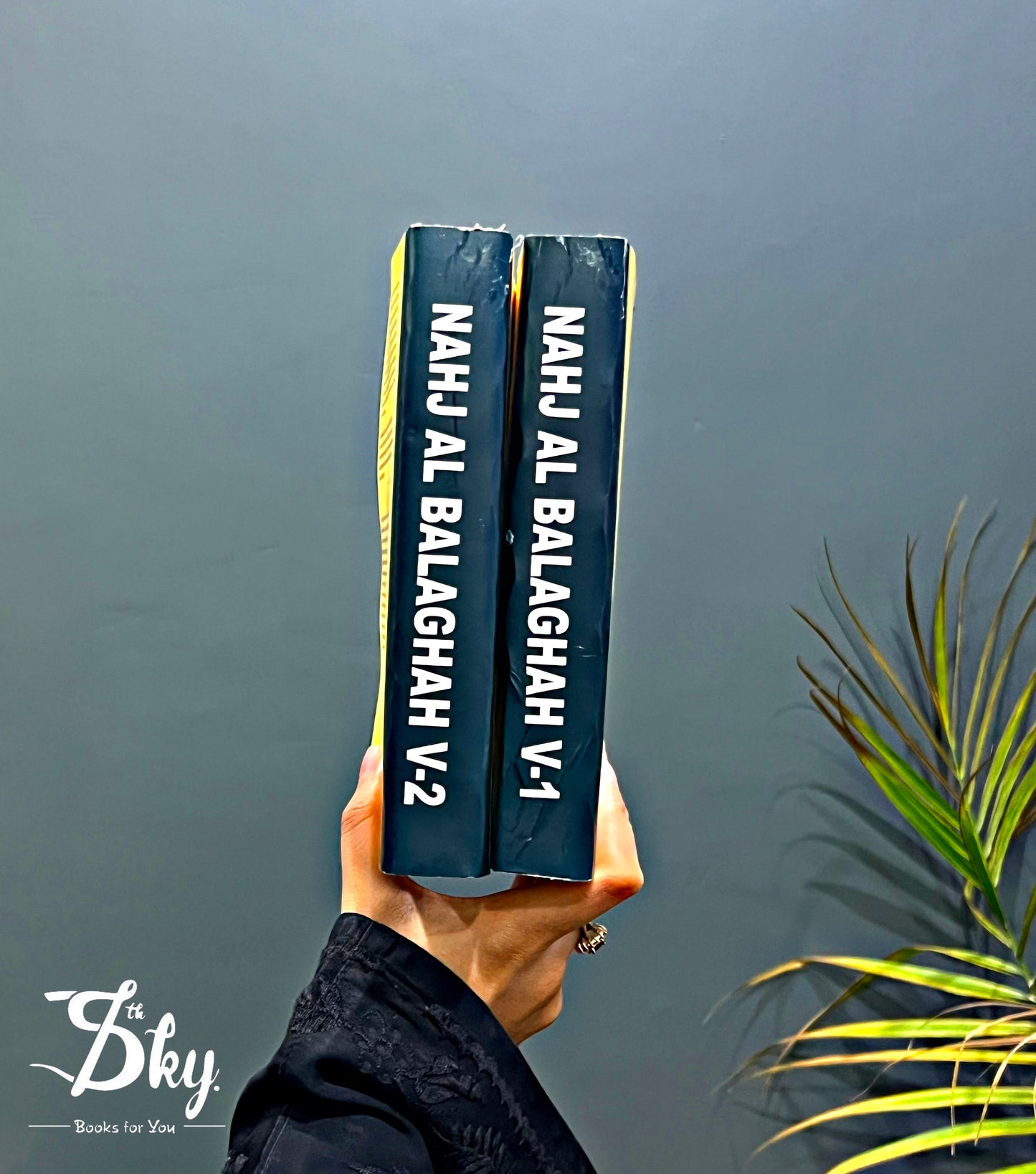 Nahj Al Balaghah Volume 1-2 By Al Sharif Al Radi