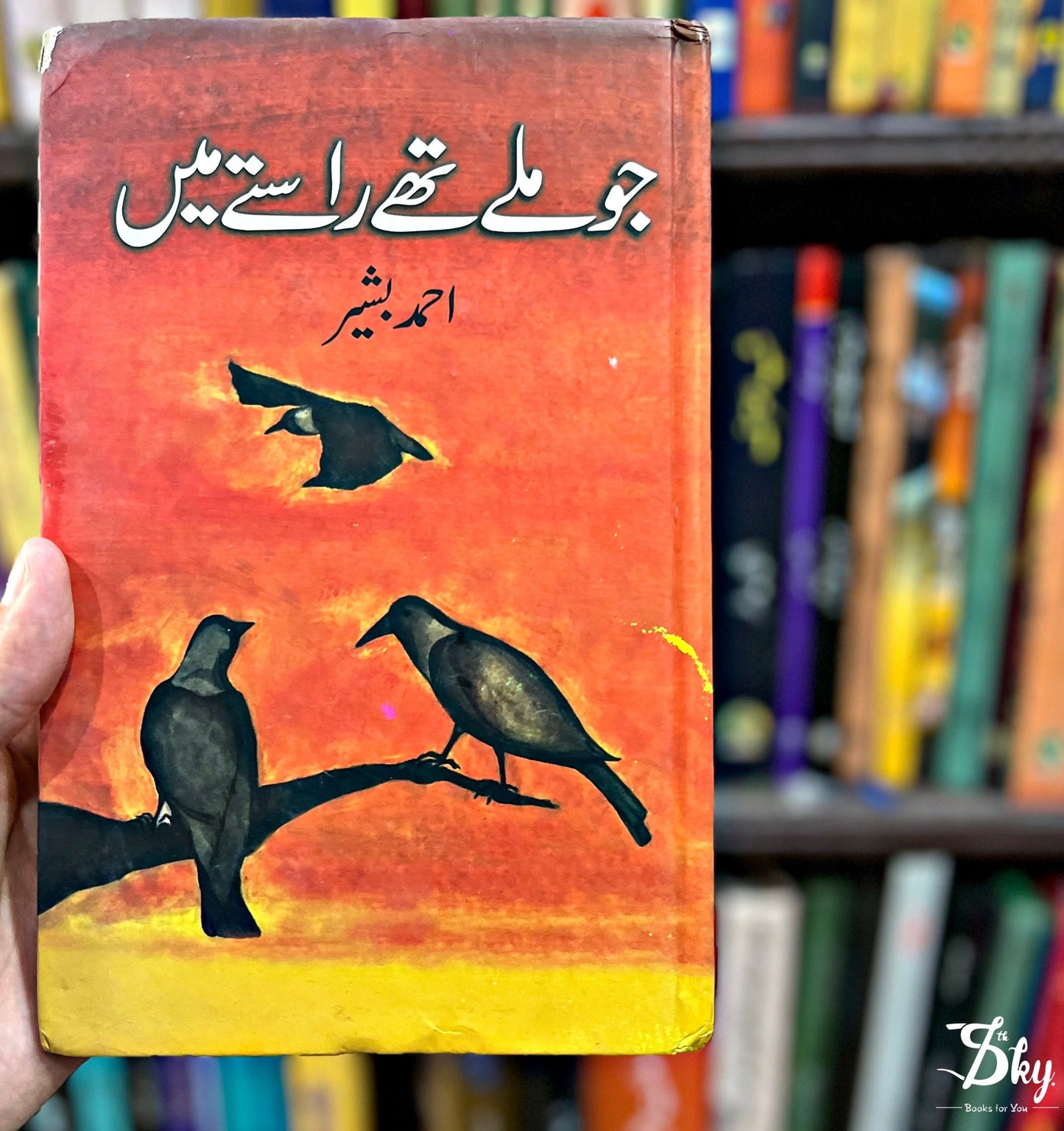 Jo Mile Thae Raste Mei