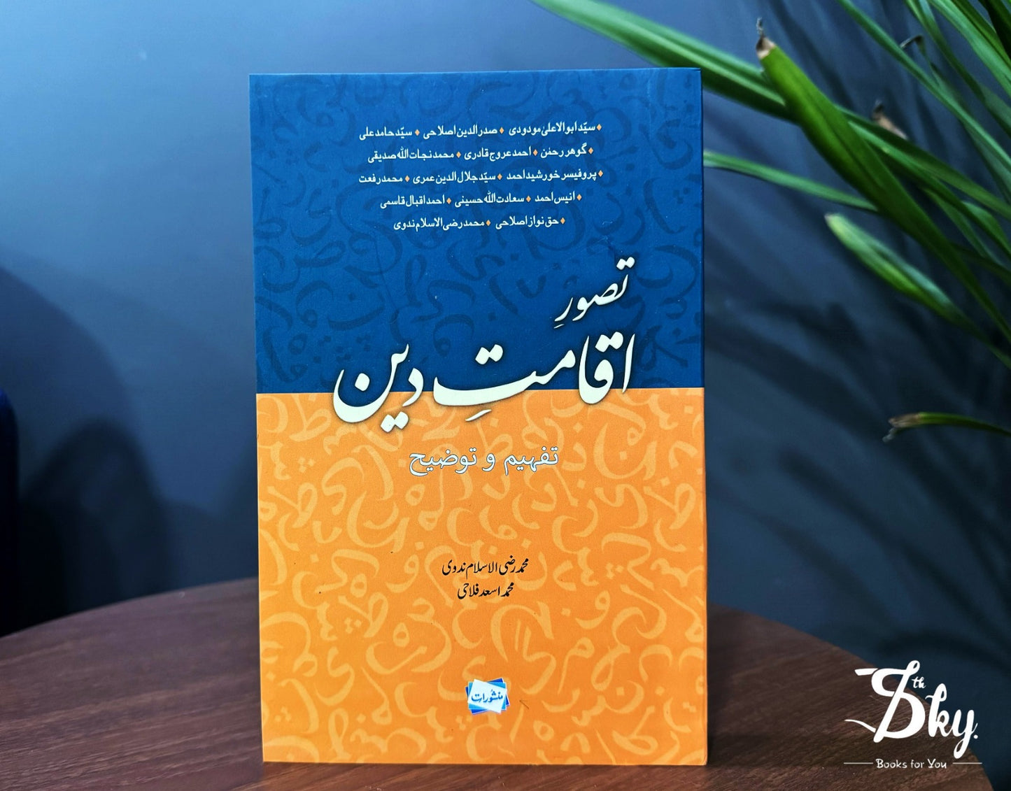 Tasawer E Iqamat E Deen - اقامتِ دین: تفھیم و توضیح