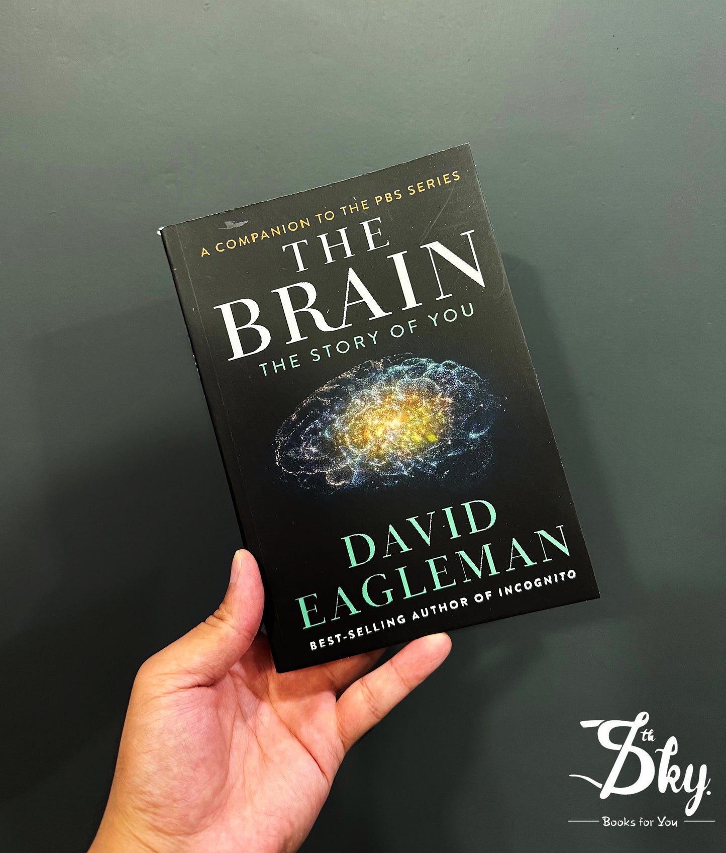The Brain: The Story of You