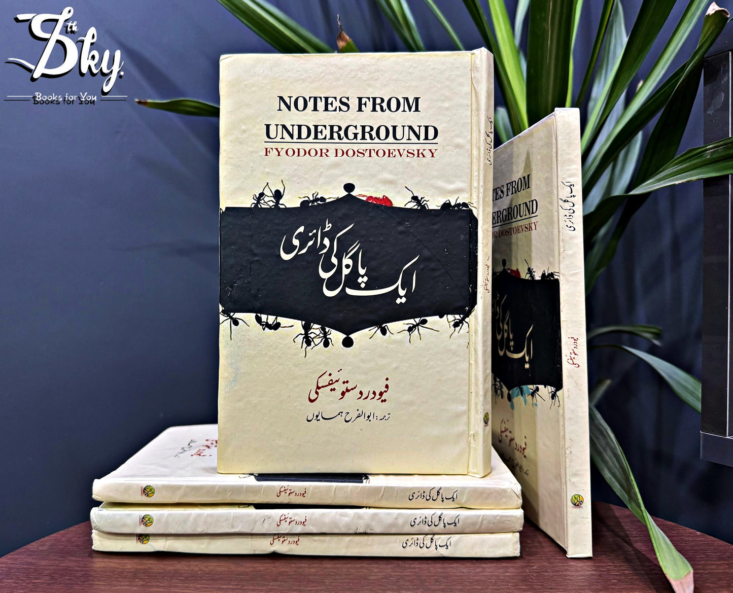 ایک پاگل کی ڈائری-Notes from underground