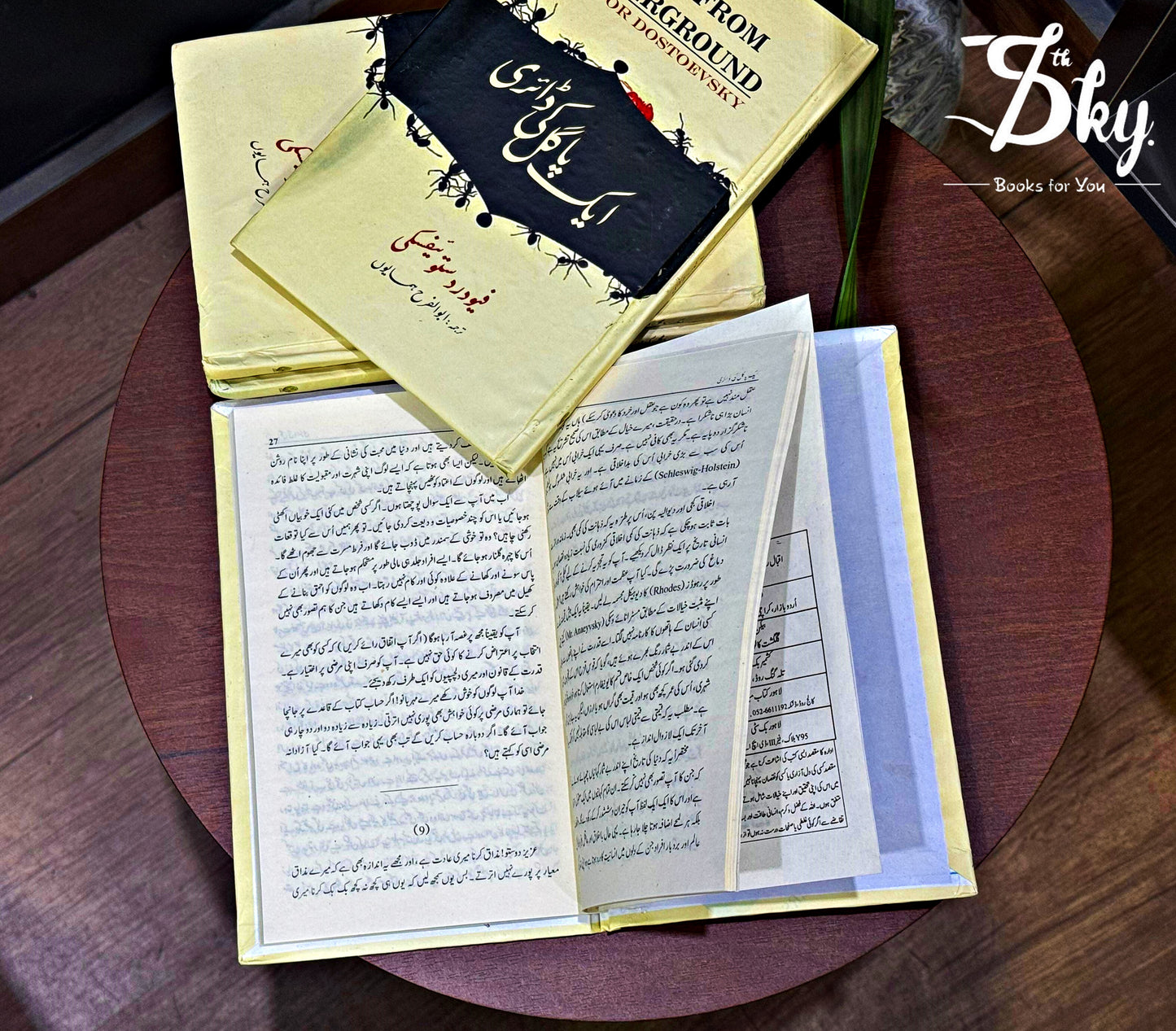 ایک پاگل کی ڈائری-Notes from underground
