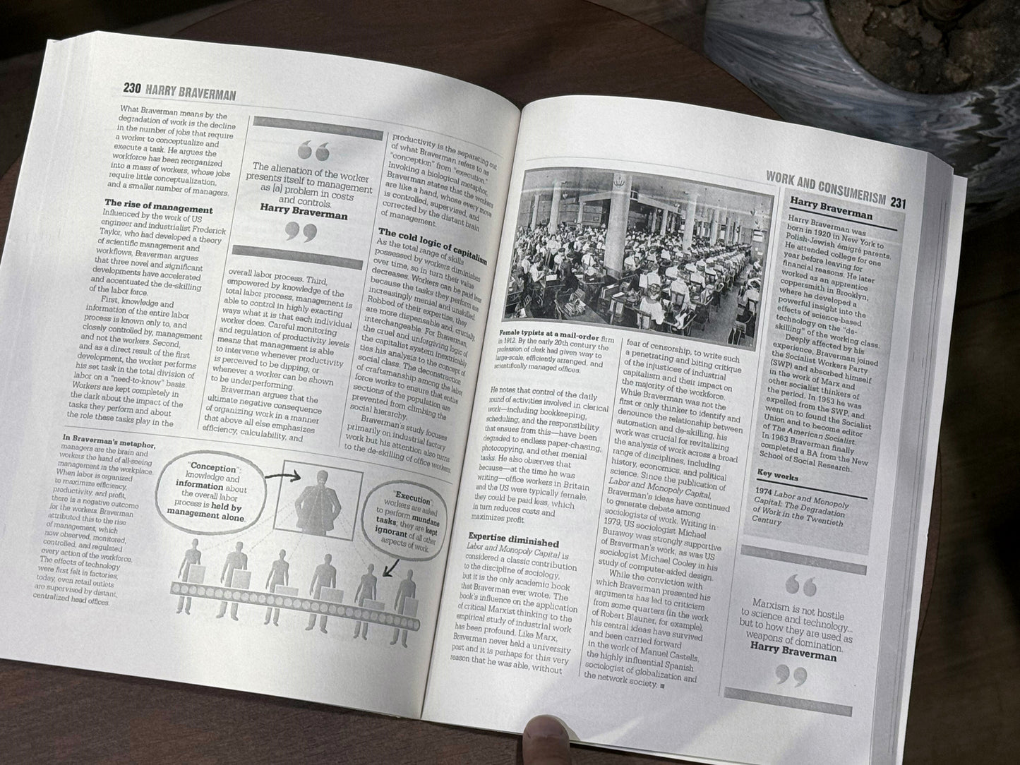 The Sociology Book: Big Ideas Simply Explained