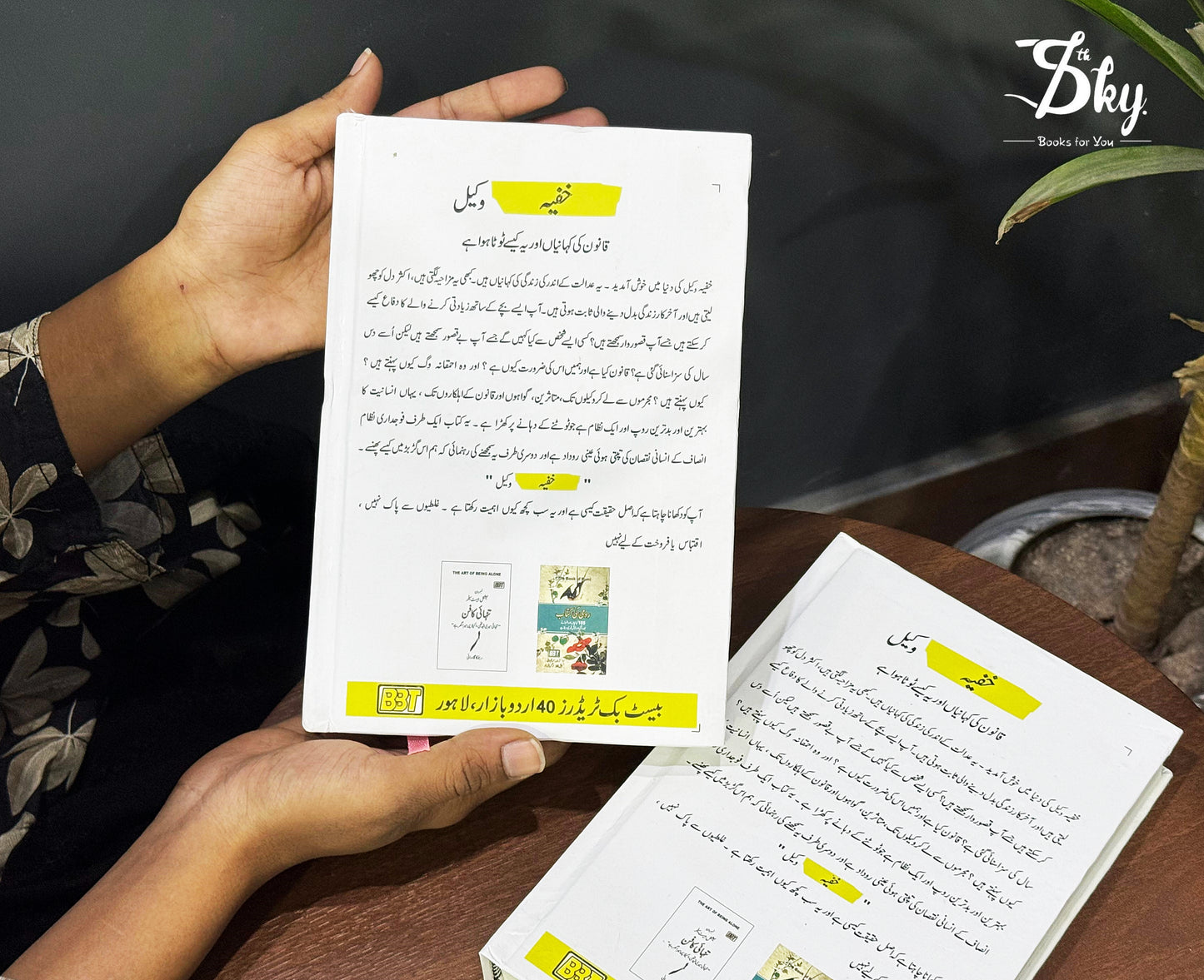 The Secret Barrister - خفیہ وکیل