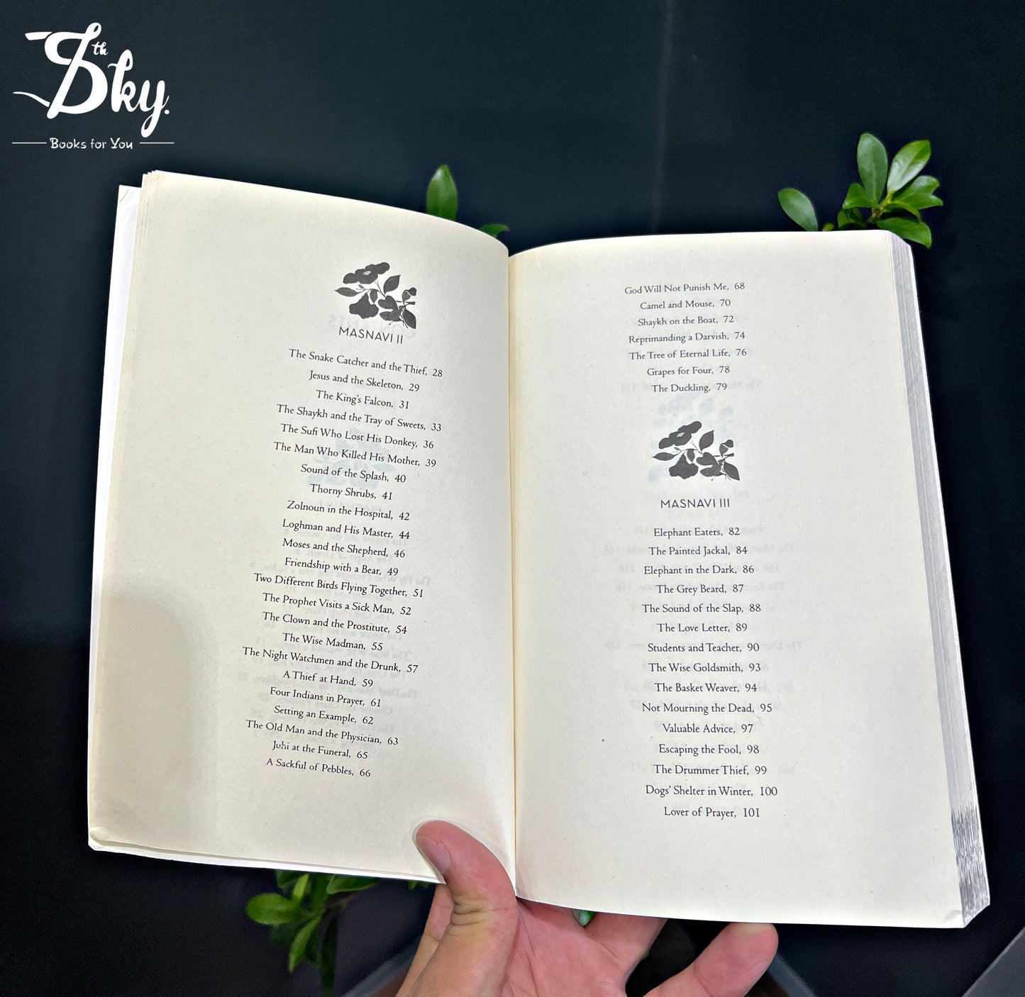The Book of Rumi: 105 Stories and Fables that Illumine, Delight, and Inform