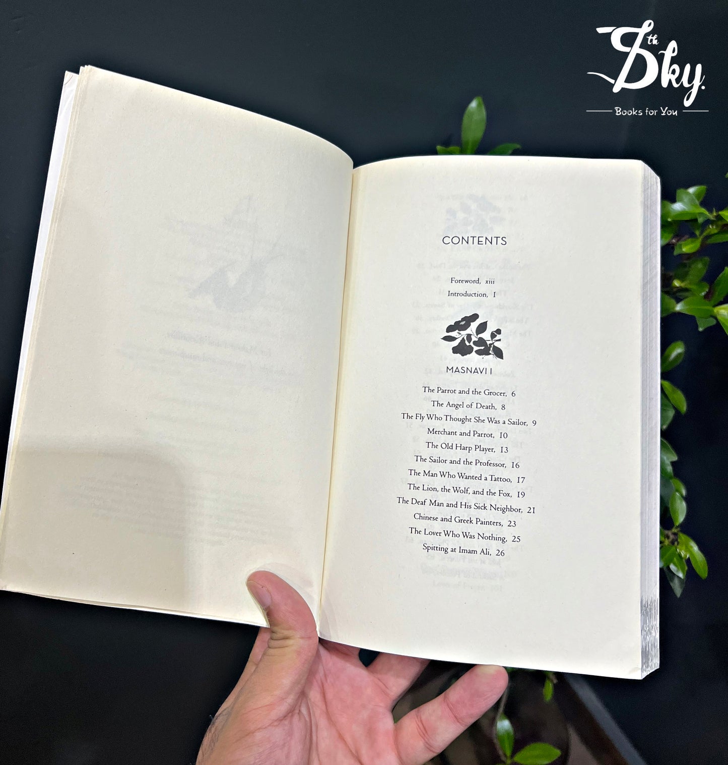 The Book of Rumi: 105 Stories and Fables that Illumine, Delight, and Inform