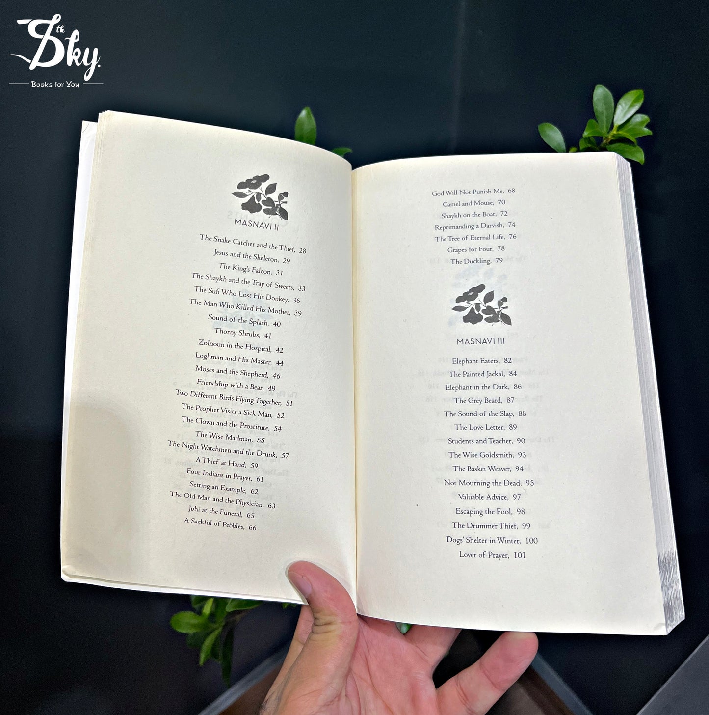 The Book of Rumi: 105 Stories and Fables that Illumine, Delight, and Inform