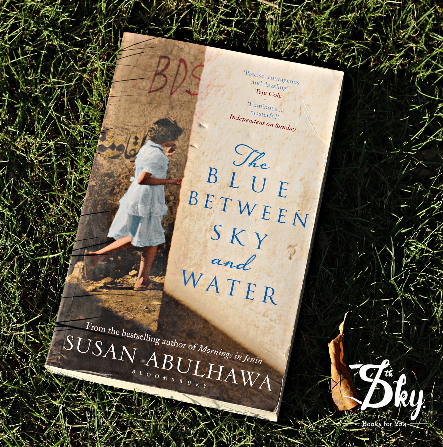 The Blue Between Sky and Water
