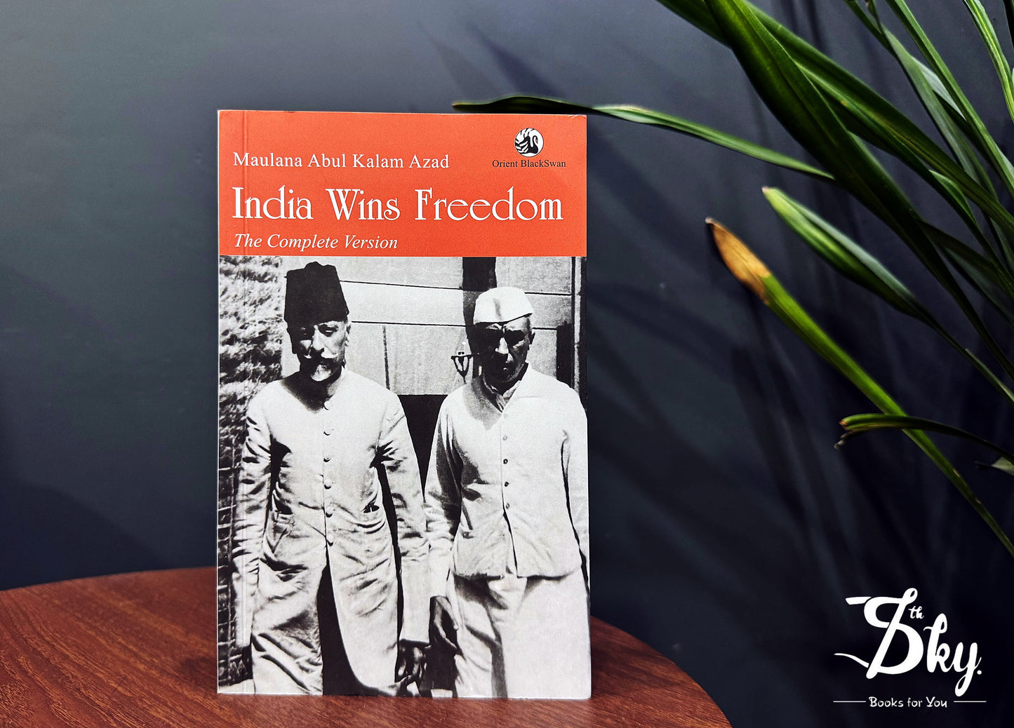 India Wins Freedom