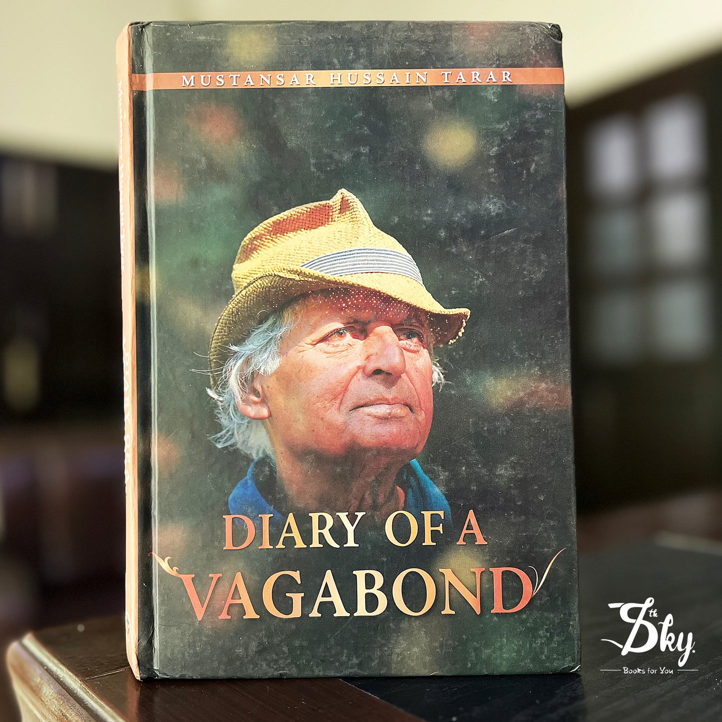 Diary of A Vagabond