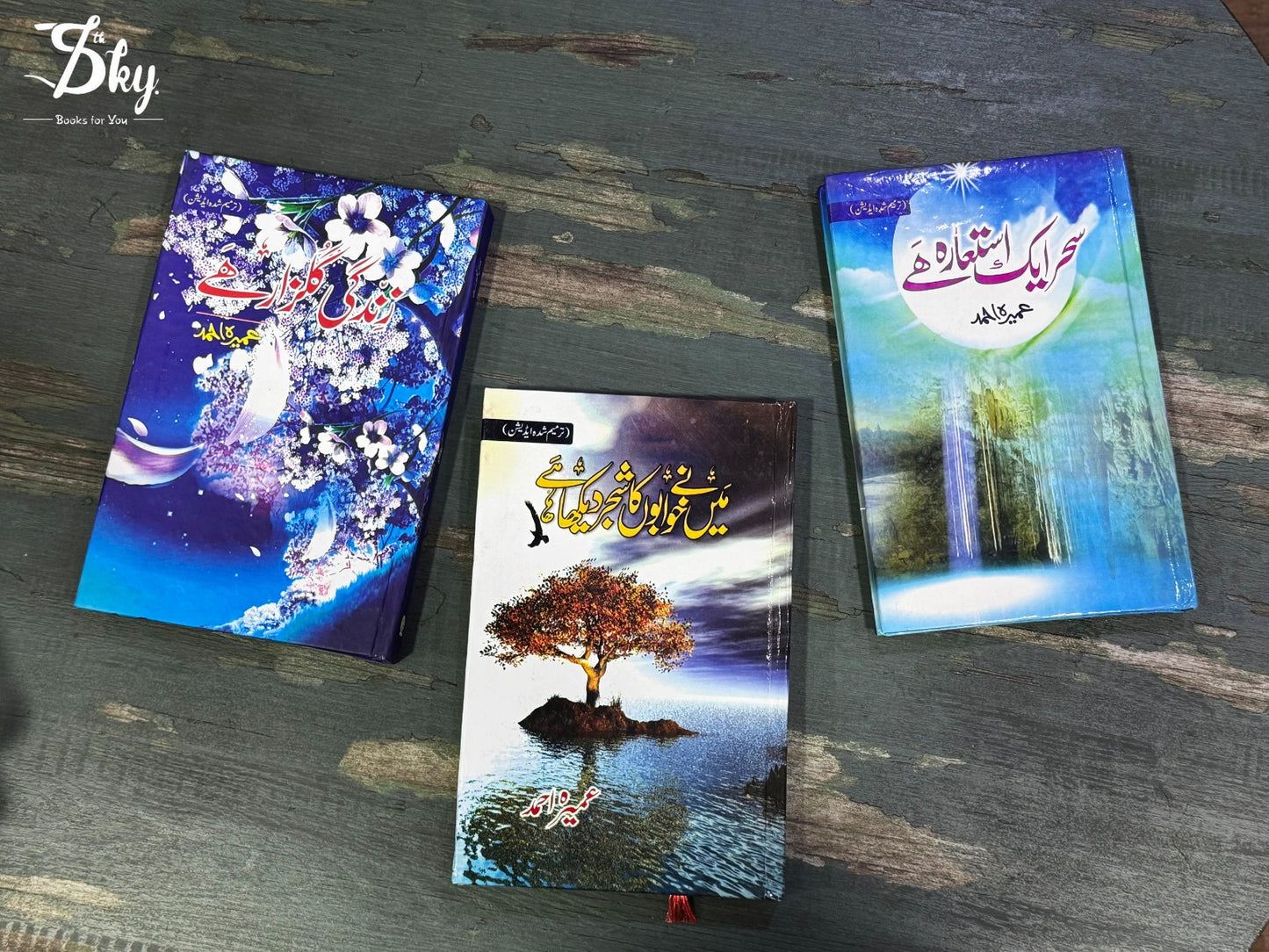Novels Deal Set ( میں نے خوابوں کا شجر دیکھا ہے + زندگی گُلزار ہے + سحر ایک استعارہ ہے )