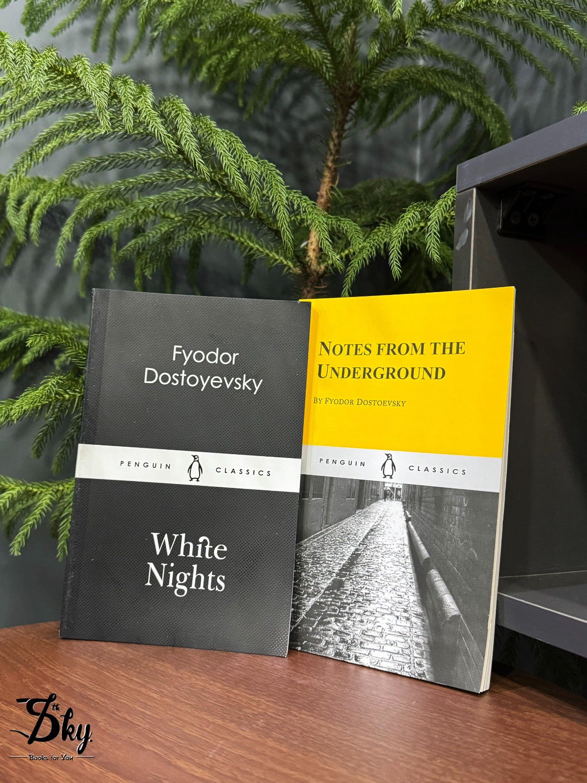 2 Books Set of Fyodor Dostoevsky
