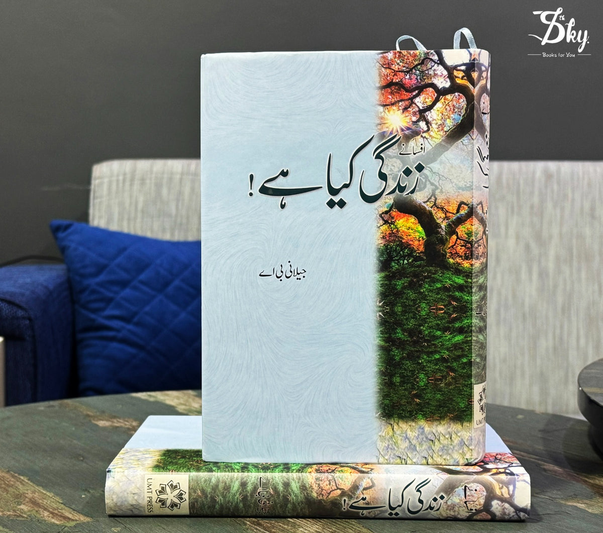 Zindagi Kiya Hai!-زندگی کیا ہے!