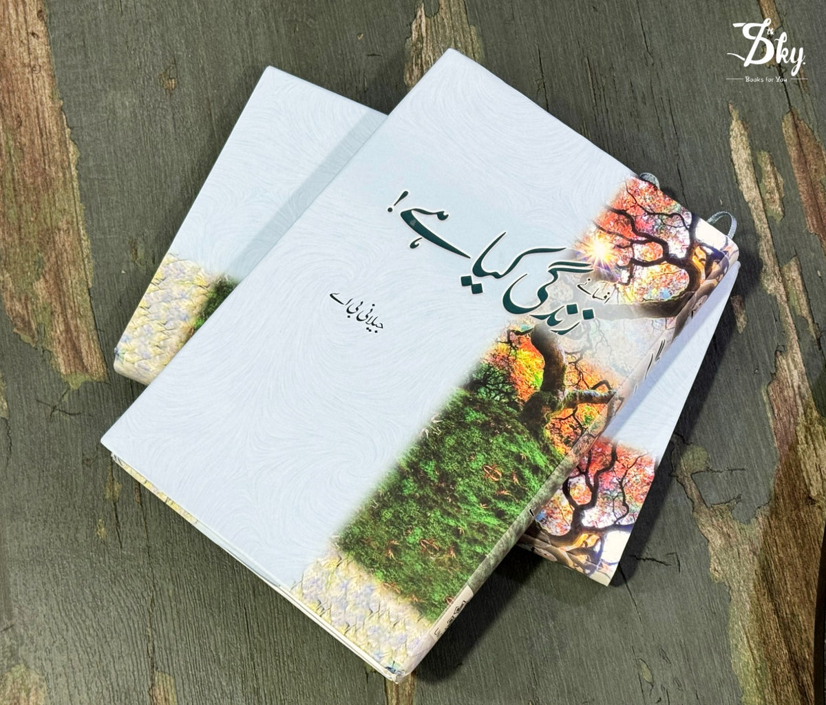 Zindagi Kiya Hai!-زندگی کیا ہے!