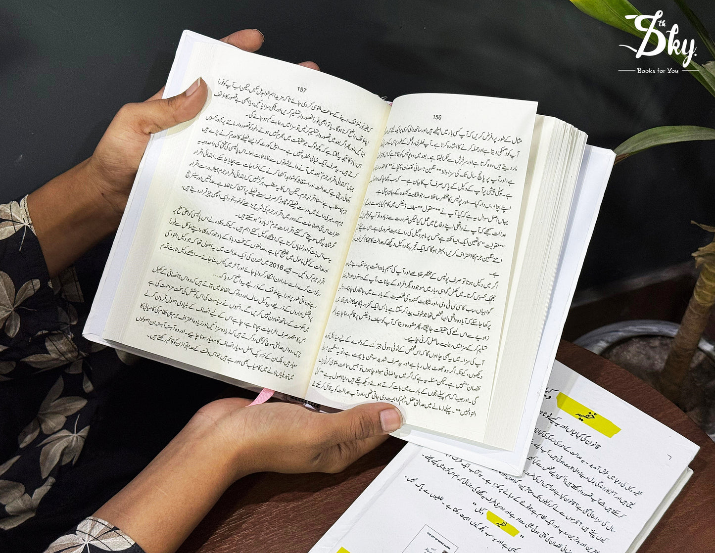 The Secret Barrister - خفیہ وکیل