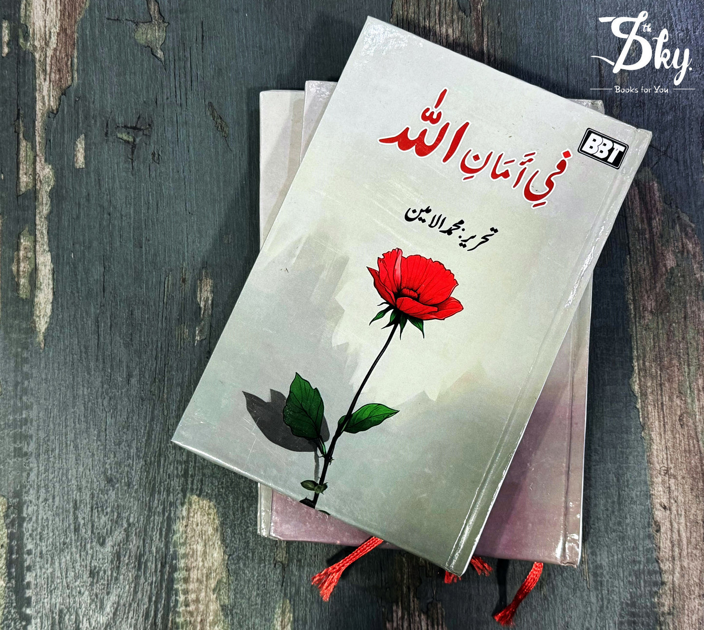 Fi Amanillah-فی امان اللہ