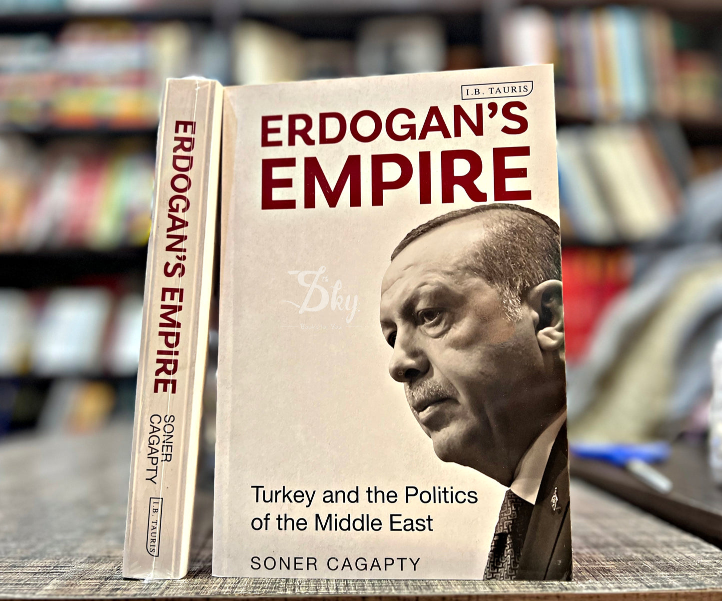 Erdogan's Empire